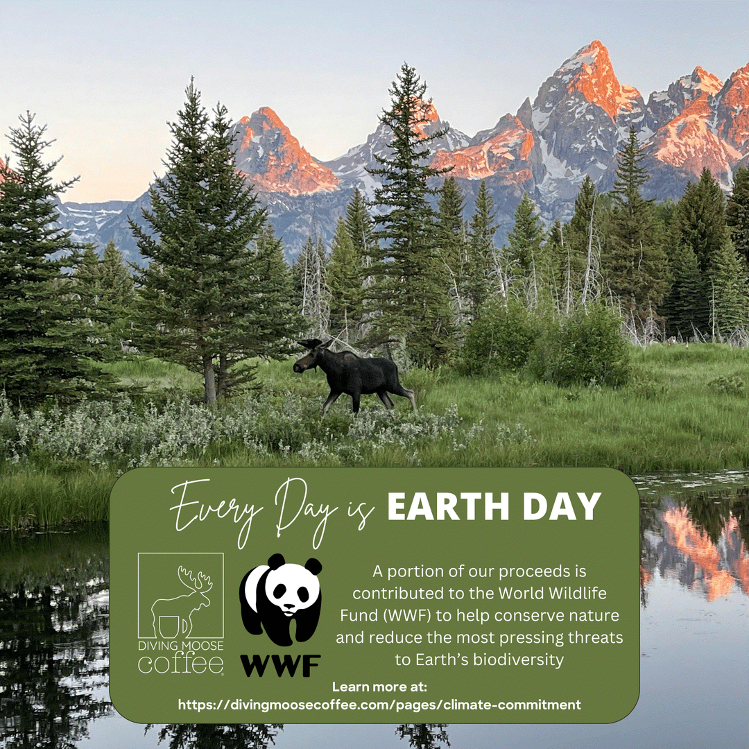 4-Count Most Popular Sample Pack (4oz each)