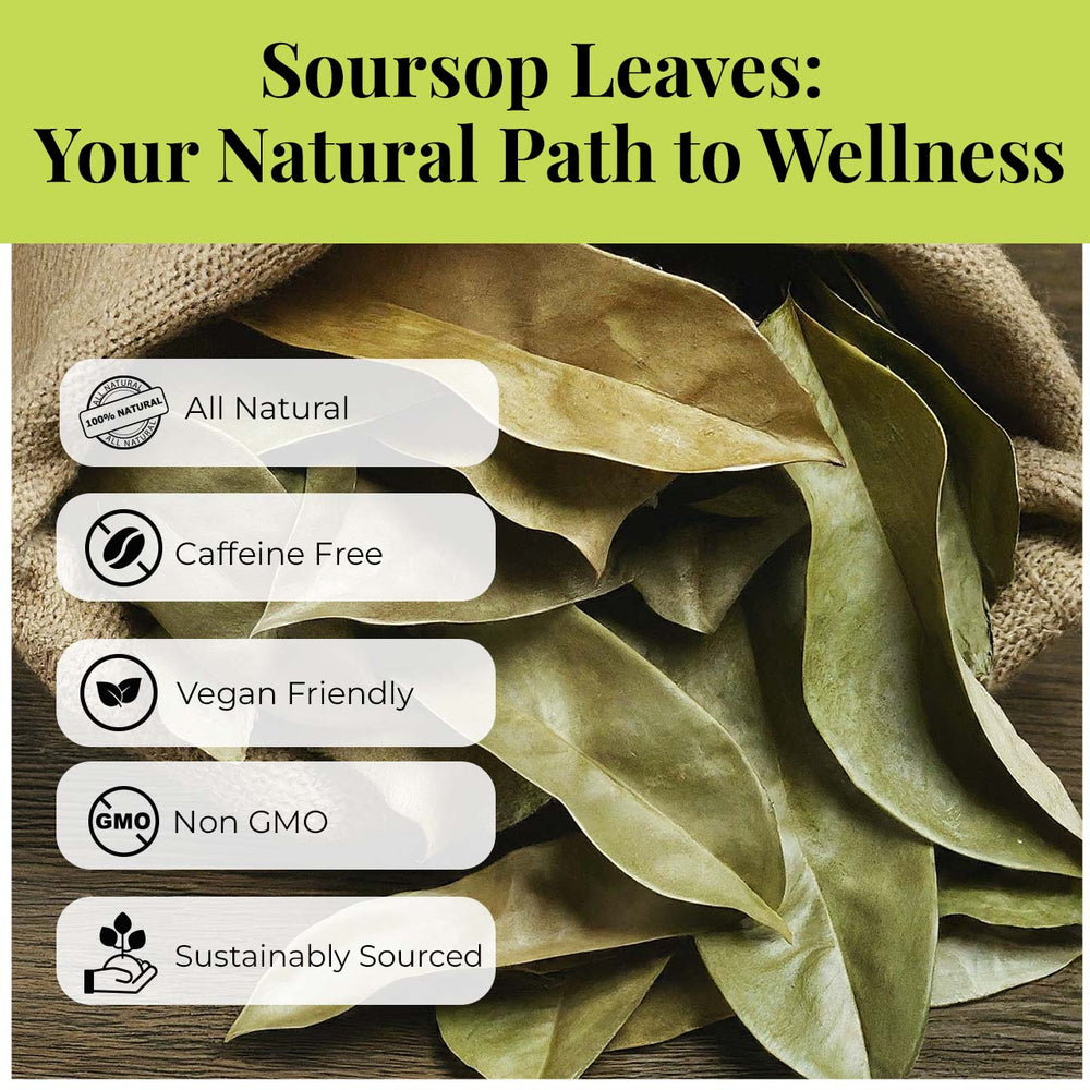 200+ Whole Dried Soursop Leaves – 2.6 oz , 100% Natural Soursop Tea (Graviola Leaves), Caffeine-Free Herbal Tea (Hoja Guanabana)